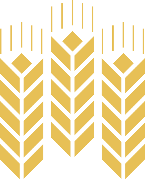 金黃麥穗糧食農(nóng)業(yè)相關(guān)logo設(shè)計(jì)素材 logo png