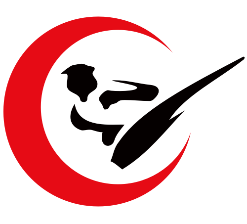 武術(shù)跆拳道抽象踢腿logo素材 logo png