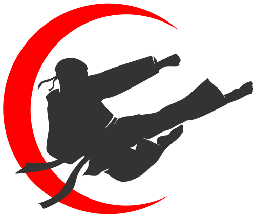 跆拳道武術(shù)飛腿酷logo矢量圖形 logo png