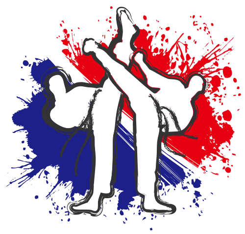 武術(shù)對抗跆拳道logo矢量圖形 logo png